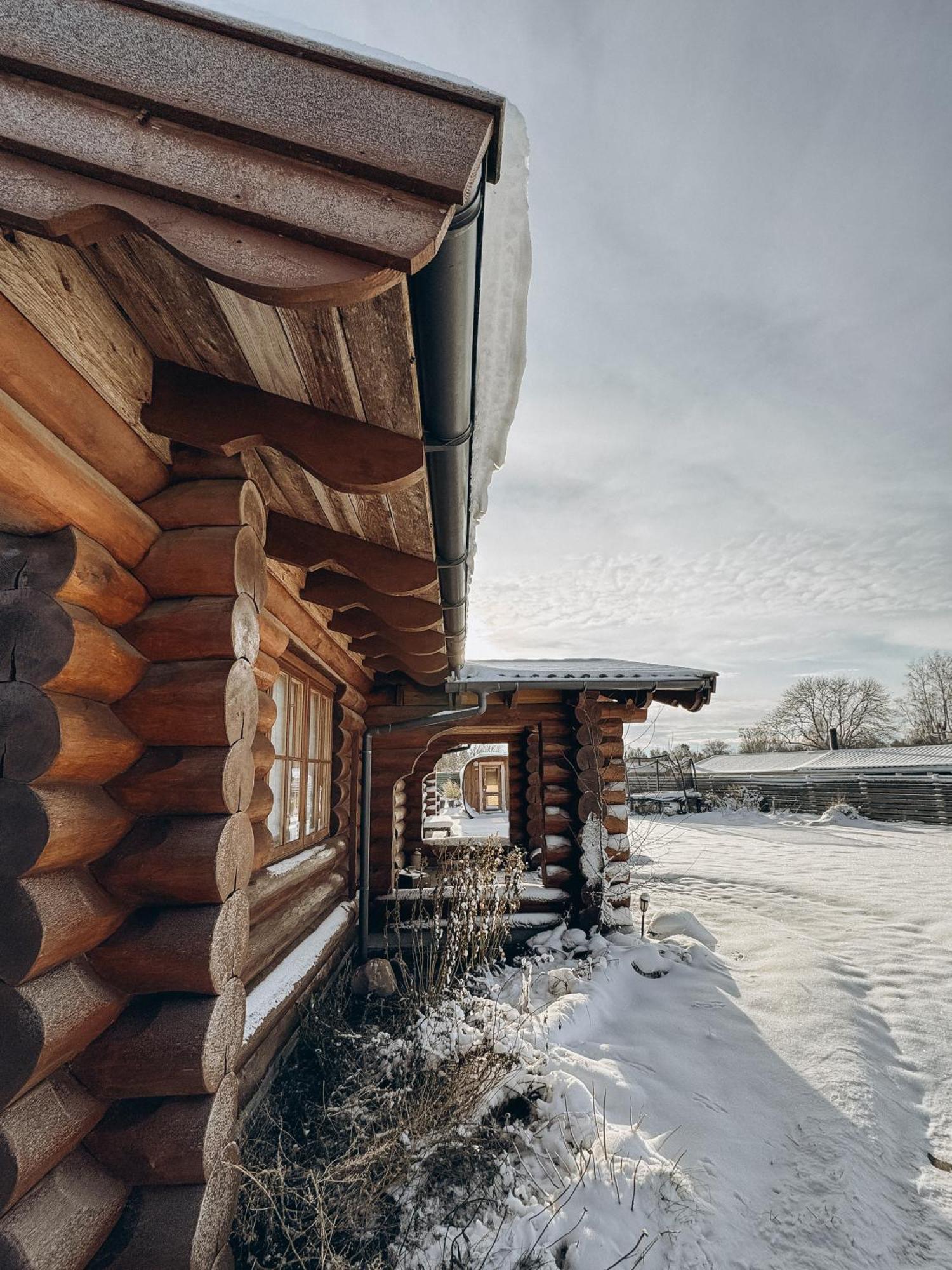 Fjordhygge - Authentic Wood Log Cabin Summerhouse Near Water, Fjord And Forest Jaegerspris Exterior photo
